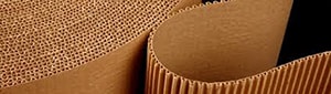Single Facer (Fingerless Type)